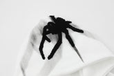 Loose Spider Print Embroidered Hoodie